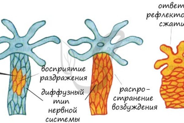 Кракен сайт покупок