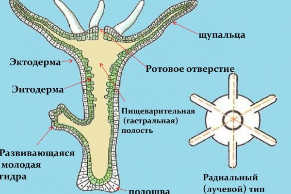 Реальные ссылки кракен