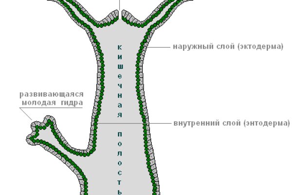 Kraken рабочая ссылка onion