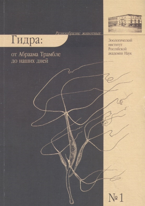 Kra29.cc