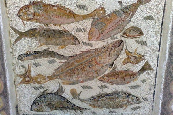 Кракен кз