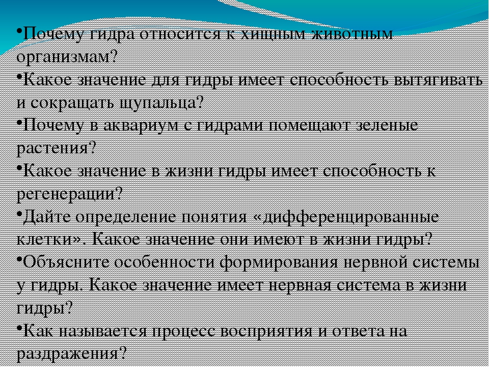 Кракен сайт kr2web in цены